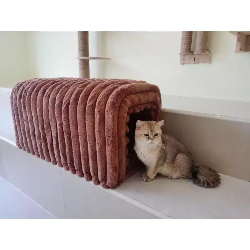 Banc de rangement ottoman pour animaux de compagnie en velours côtelé, niche pour chat à cacher pour le salon, l'entrée et la chambre à coucher, marron